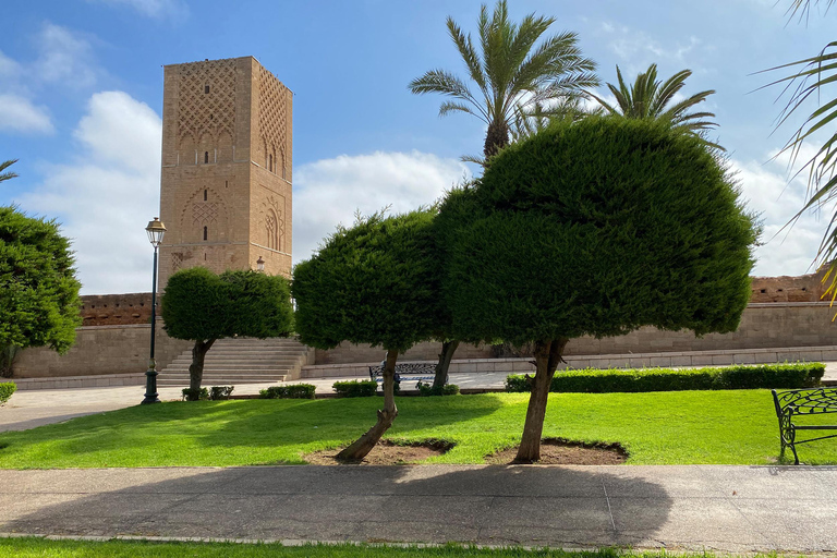 من مراكش: جولة لمدة 4 أيام إلى المدن الإمبراطورية ووليلي