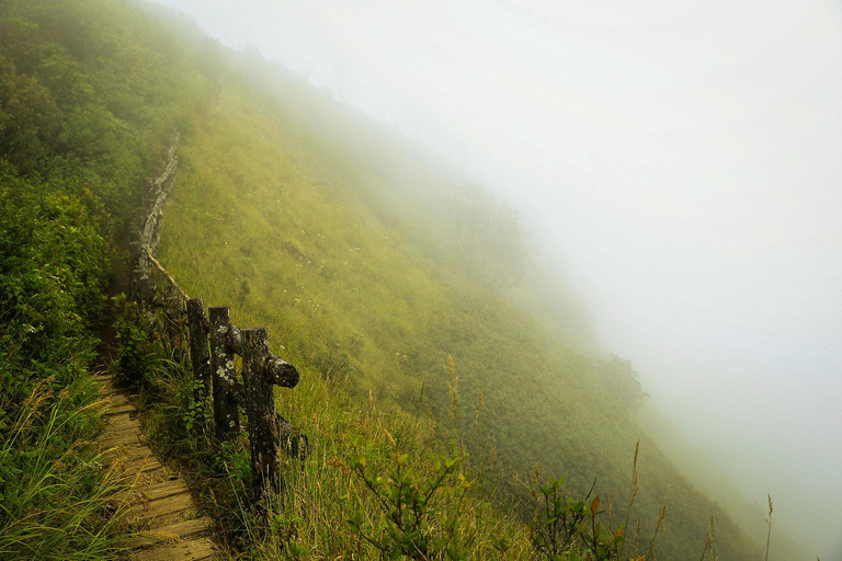 Chiang Mai: Doi Inthanon National Park Guided Tour and Lunch Sightseeing in Doi Inthanon National Park with all Fee