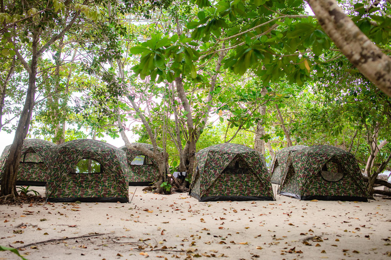 Phuket or Khaolak: Surin Islands 3day-2night Snorkeling Tour From Phuket: Surin Islands 3 day and 2night Snorkeling Tour