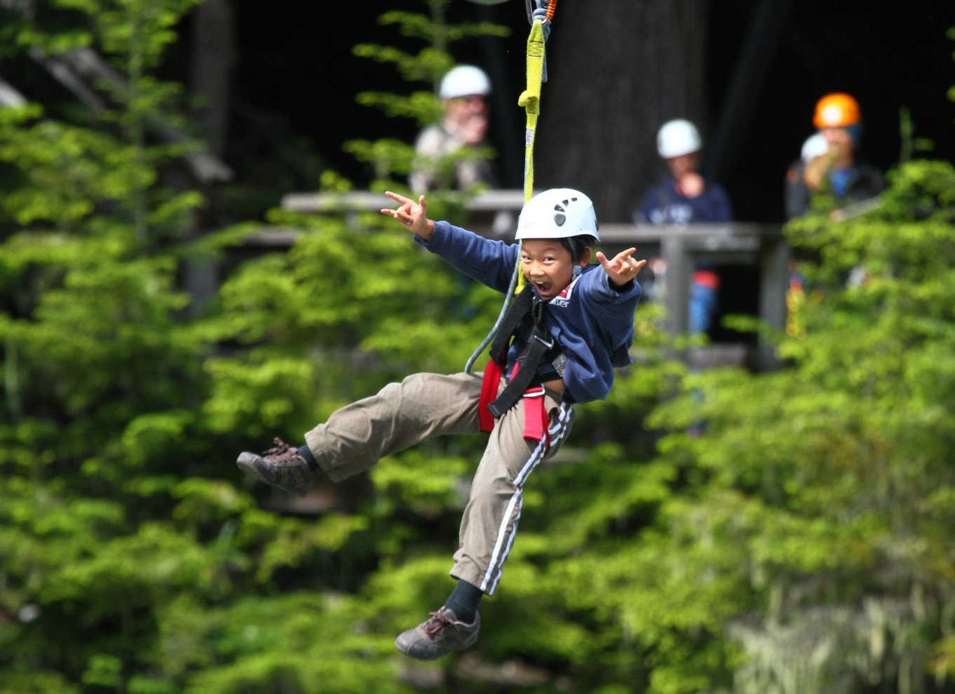 Whistler Zipline-oplevelse: Ziptrek bjørnetur