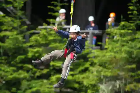 Whistler Zipline-oplevelse: Ziptrek bjørnetur