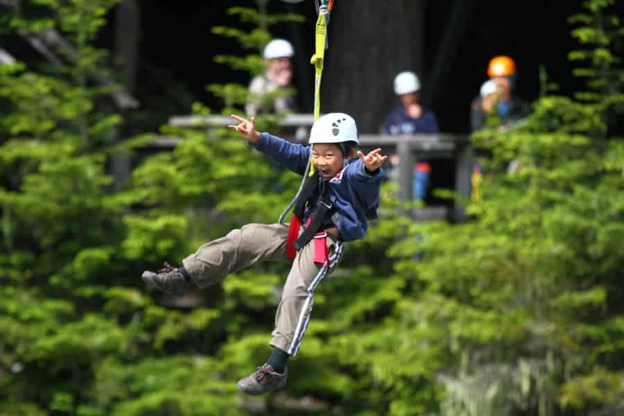 Whistler Zipline Erlebnis: Ziptrek Bear Tour. Foto: GetYourGuide