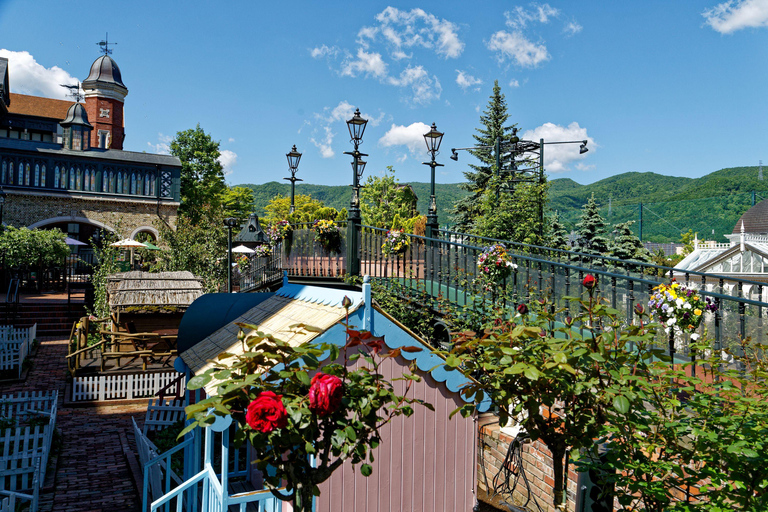 From Sapporo: Otaru and Hokkaido Shrine Day Trip Shared Tour, Meet at Sapporo Station