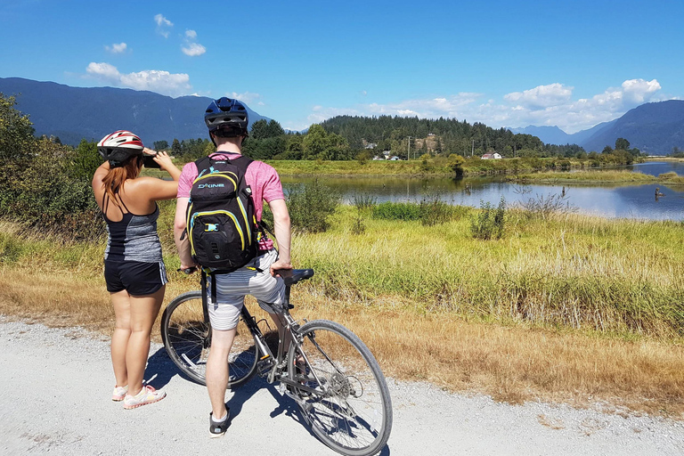 Vancouver: Lynn Canyon Park Hike & Pitt Meadows Bike Tour