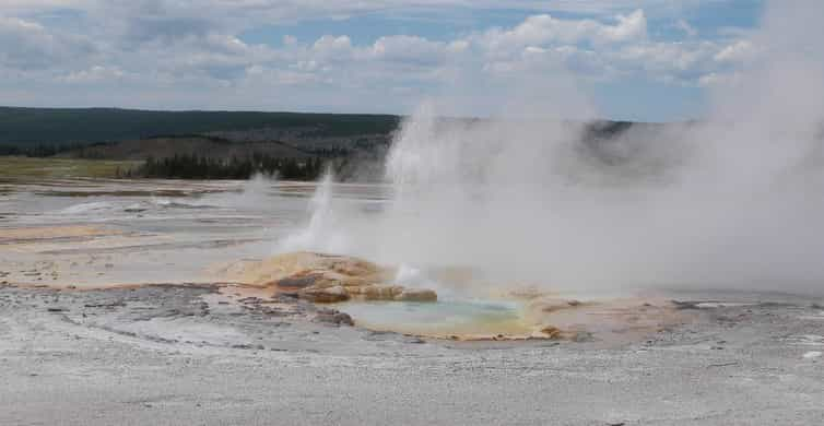 Jackson, Wyoming: Full-Day Yellowstone Lower Loop Tour | GetYourGuide