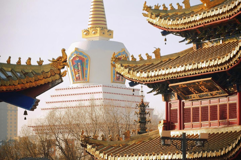 Hohhot Dazhao Temple Entry Ticket with Food & Route Tips