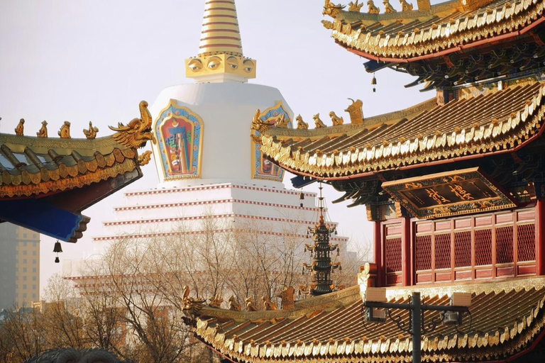 Hohhot Dazhao Temple Entry Ticket with Food & Route Tips
