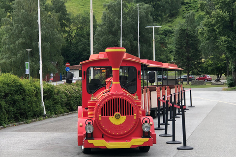 Trem de Flam, mirante de Stegastein e cruzeiro pelo fiorde