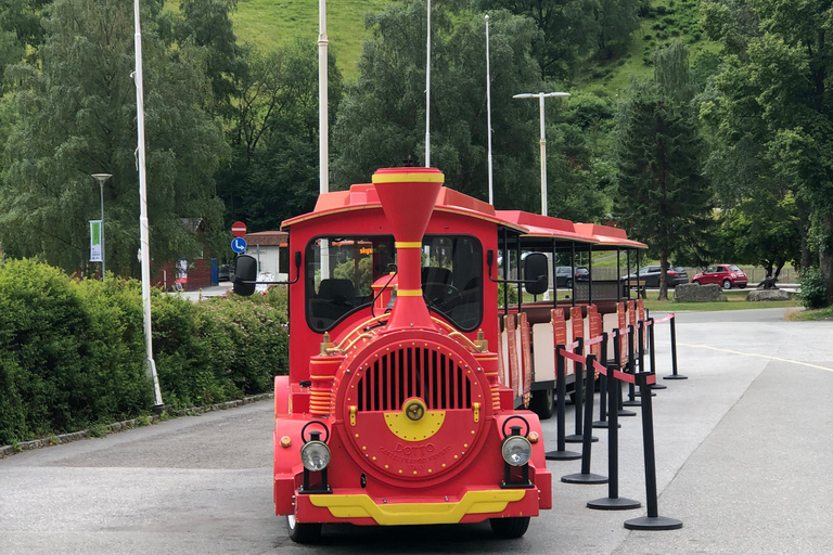 Ferrocarril de Flam, Mirador de Stegastein y Crucero por el Fiordo