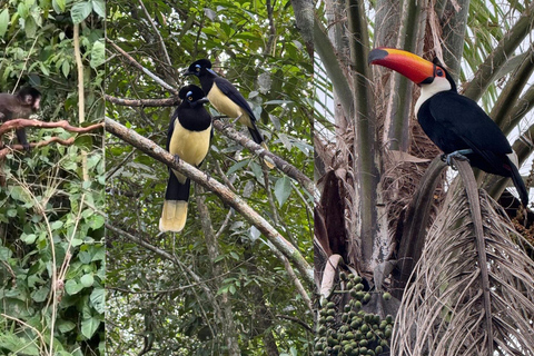 Iguazu Falls: Private Tour for Belmond, Meliá & Sanma Guests Iguazu Falls: Private Full-Day Tour Brazil & Argentina 1-Day