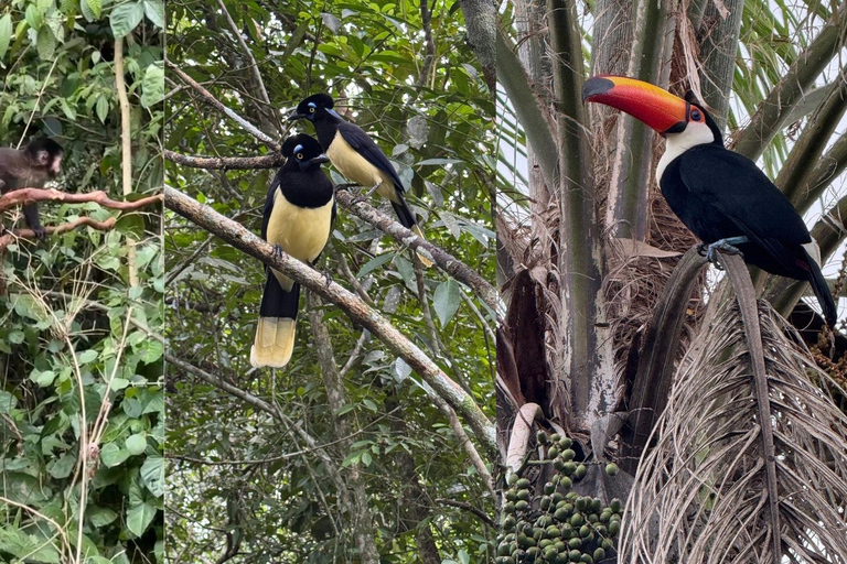 Iguazu Falls: Private Tour for Belmond, Meliá & Sanma Guests Iguazu Falls: Private Full-Day Tour Brazil & Argentina 1-Day