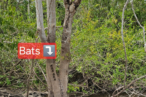 圣佩德罗：拉马奈玛雅神庙和河流导览游圣佩德罗：拉马奈玛雅寺庙和河流导览游