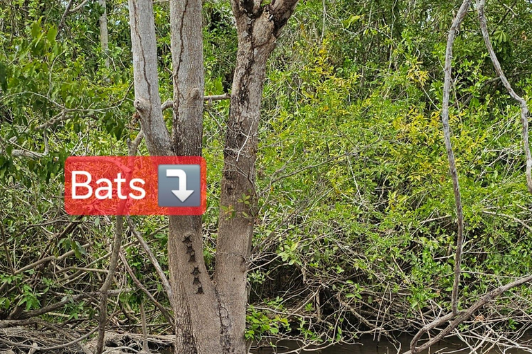 圣佩德罗：拉马奈玛雅神庙和河流导览游圣佩德罗：拉马奈玛雅寺庙和河流导览游