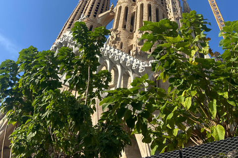 Sagrada Familia Guided Tour in English: Private group