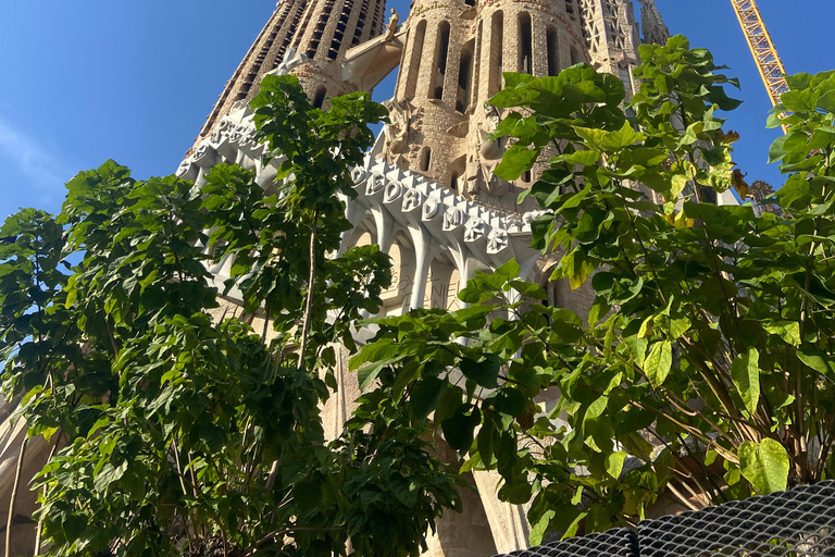 Sagrada Familia Guided Tour in English: Private group