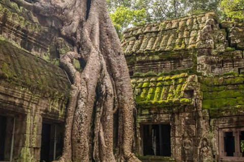 Angkor Wat & Must-See Temples Private Tour by Tuk Tuk Add Sunrise Tour Option