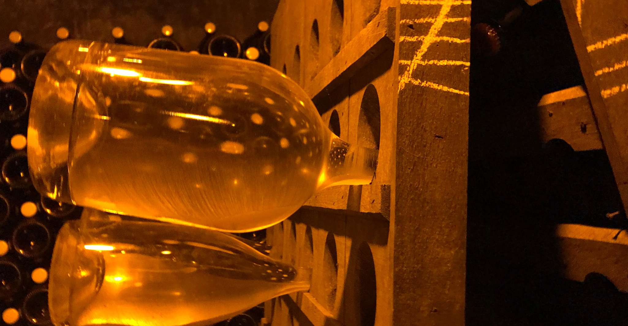 From Reims/Epernay: Champagne half-day tour (small group) photo 2