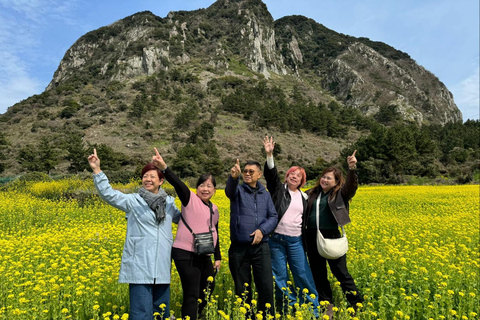 Visite privée en VAN de 9 heures à Jeju (jusqu&#039;à 8 personnes)