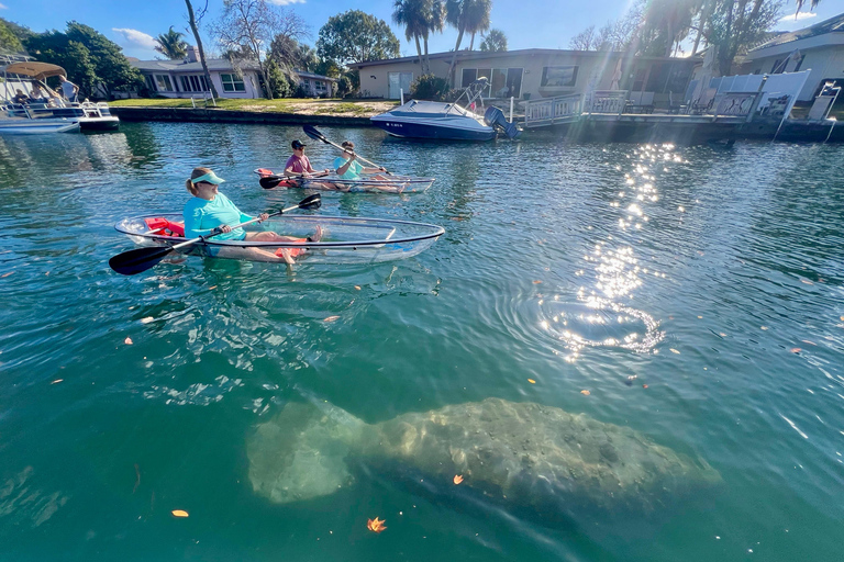 Crystal River: Three Sisters Spring Manatee Clear Kayak Tour