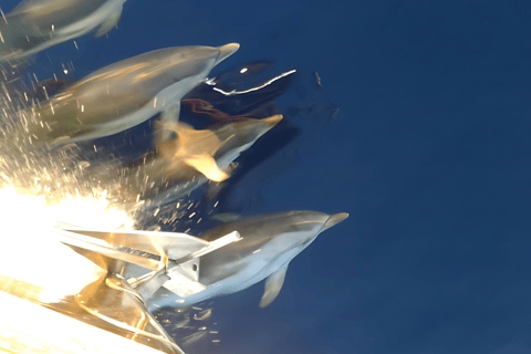 Catânia: Passeio de barco com aperitivo, prosecco e mergulho com snorkel