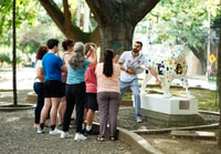 Cali, Grand City Tour - Hizvo