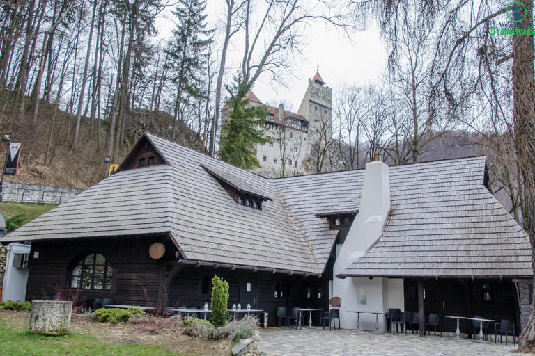 Tagesausflug zum Schloss Bran, zur Festung Rasnov und zum Bärenschutzgebiet