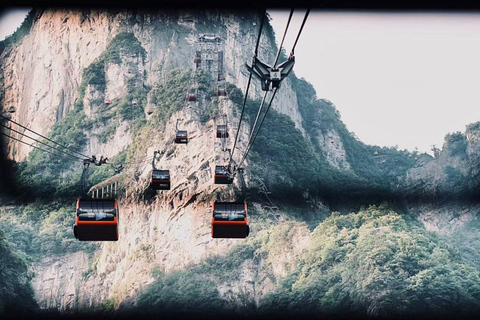 Zhangjiajie: Parque Florestal Nacional + Excursão de um dia à Montanha Tianzi