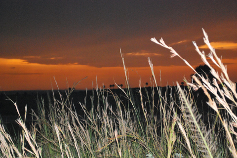 3-Day Best of Uganda Big5 Safari Tour in Murchison Falls NP