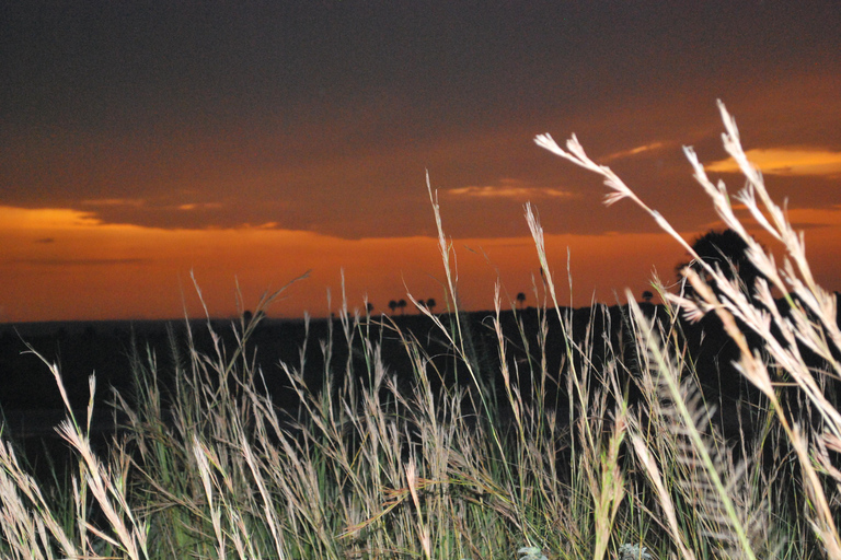 3-Day Best of Uganda Big5 Safari Tour in Murchison Falls NP