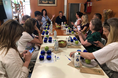 Visite et dégustation d&#039;huile d&#039;olive à Kalamata, Messénie, Grèce