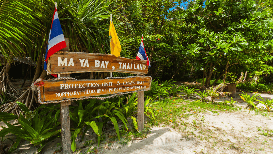 Krabi Phi Phi e Isla de Bambú: excursión de un día en lancha rápida ...