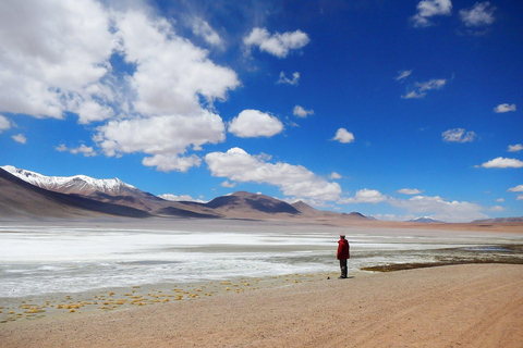 Desde La Paz | Tour Bus Uyuni + Sam Pedro a Atacama | 4D/4N