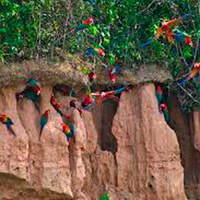 Jungle Fishing and Adventure Tour 5-Days - Housity