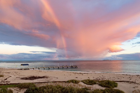 Perth: 2-Day Pinnacles, Sea Lions, and Seafood Tour