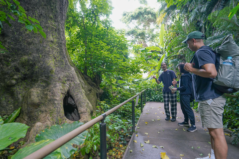 Naha: Okinawa Shuri Castle Peace Walking Tour