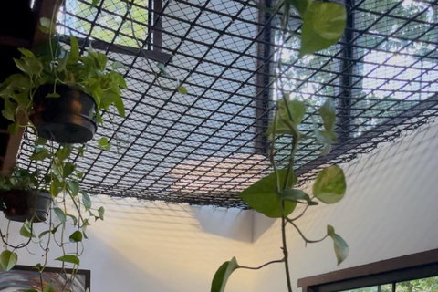 Da Rio: ritiro ecoturistico di 4 giorni con trasferimenti e cabineDa Rio: 4 giorni di eco-turismo con trasferimenti e alloggio in bungalow