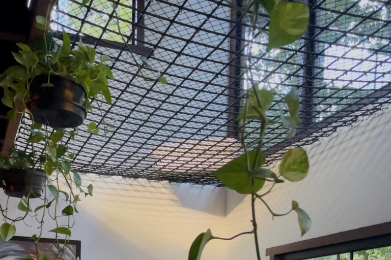 Da Rio: ritiro ecoturistico di 4 giorni con trasferimenti e cabineDa Rio: 4 giorni di eco-turismo con trasferimenti e alloggio in bungalow