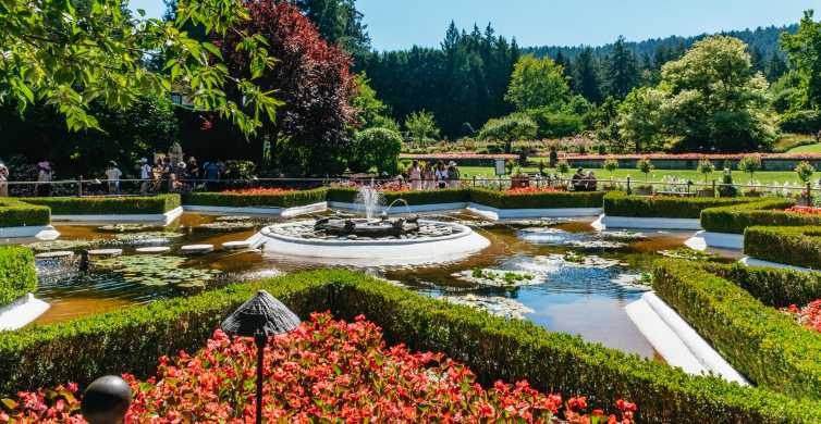 Gardens At Government House Victoria - Why You Should Visit