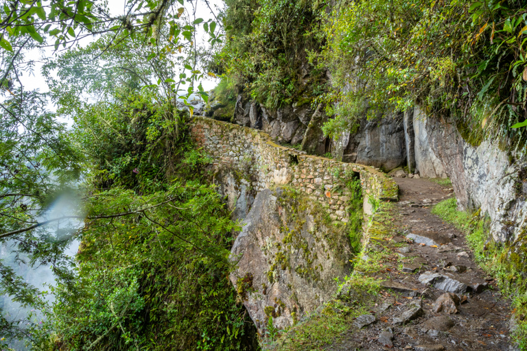 Cusco: 4 Day Jungle Adventure to Machu Picchu