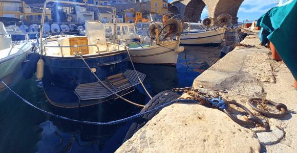 Marseille: Halbtagestour Stadtführung Highlights mit Guide