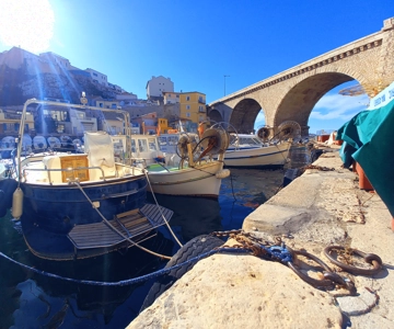 Marseille: Half-Day City Highlights Guided Walking Tour