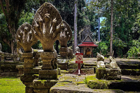 Siem Reap: Całodniowa wycieczka do świątyni Angkor Wat z zachodem słońcaWspólna wycieczka