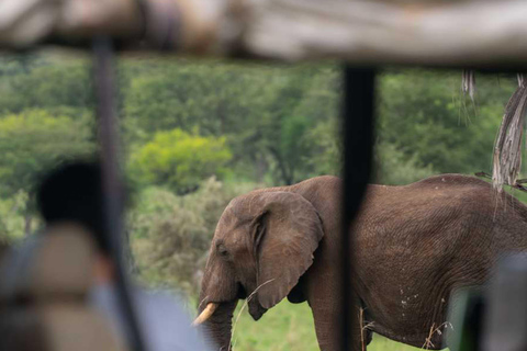 Rwanda: 8-Day Guided Tour with Gorilla Trekking 8 Days Visit Rwanda Safari Package