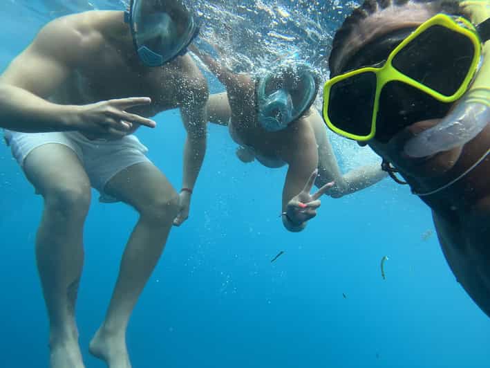 Mnemba dolphin & snorkel: from matemwe, pwani, kwingwa, Uroa