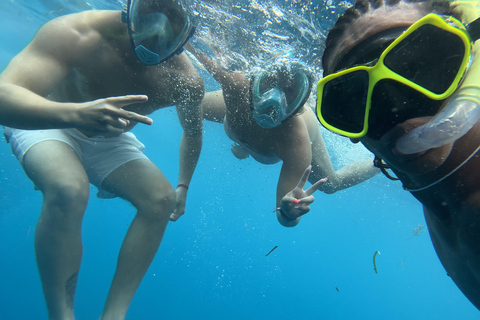 Mnemba delfín y snorkel: desde matemwe, pwani, kwingwa, Uroa