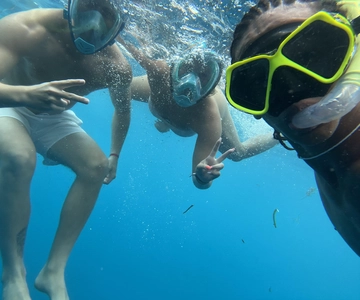 Mnemba dolfijn & snorkelen: van matemwe, pwani, kwingwa, Uroa