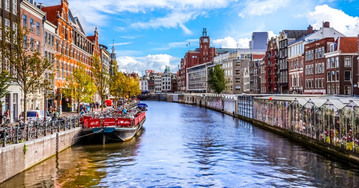 Флаг голландии и нидерландов. Флаг нидерландов рисунок. Official netherlands. Official netherlands. Знаменитый игрок бразилии по футболу.