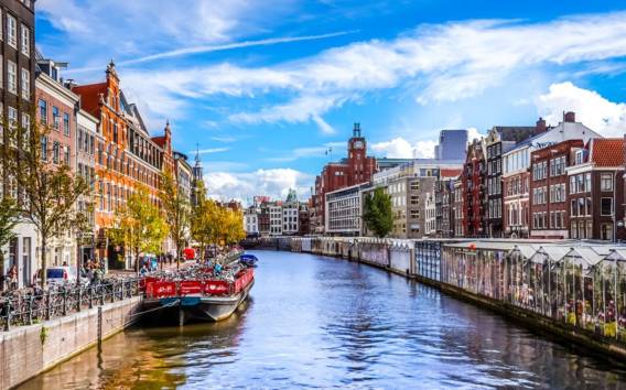 Amsterdam: Die Jagd nach der Goldenen Tulpe Erkundungsspiel
