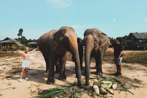 Siem Reap: Elephant Sanctuary Included Hotel Pickup Drop-off