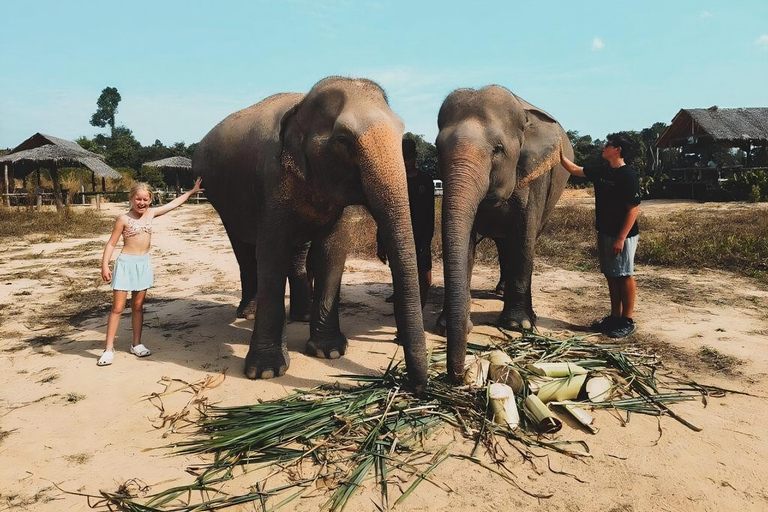 Siem Reap: Elephant Sanctuary Included Hotel Pickup Drop-off